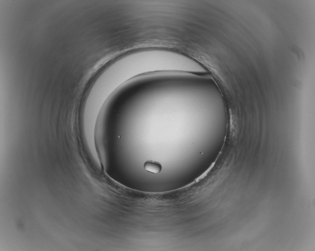 X0000111000348200907022142