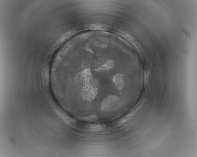 X0000111000349200907022142