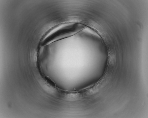 X0000111000350200907022142