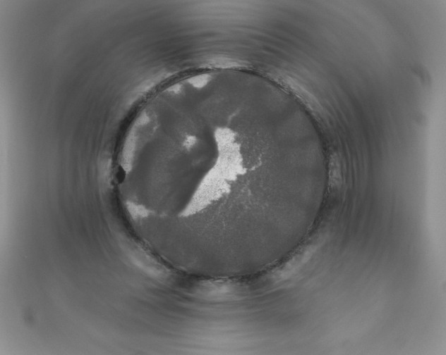 X0000111000351200907022142