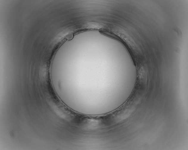 X0000111000352200907022142