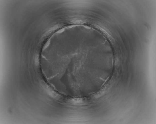 X0000111000353200907022142