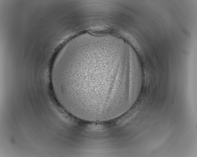 X0000111000354200907022142