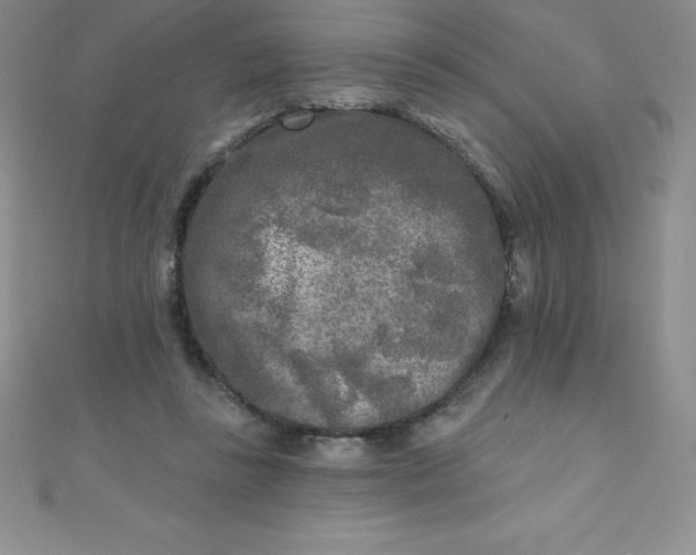 X0000111000355200907022142