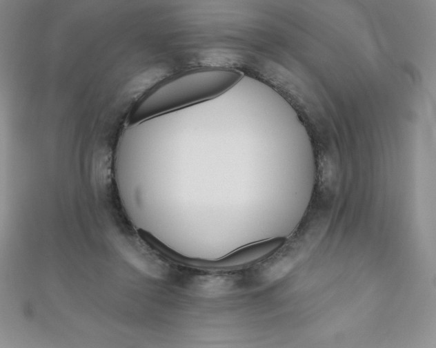 X0000111000356200907022142