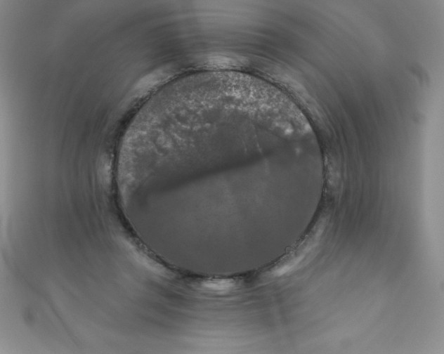 X0000111000357200907022142