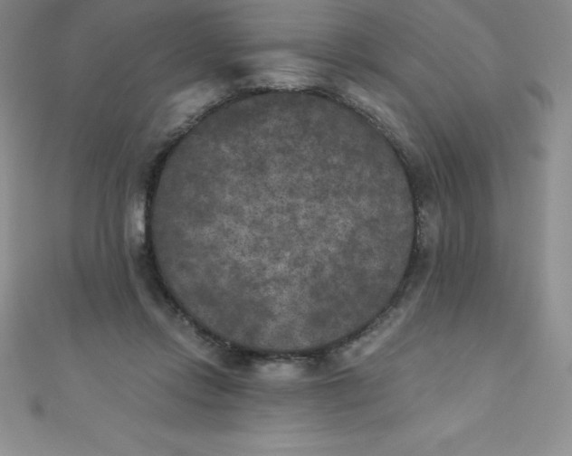 X0000111000358200907022142