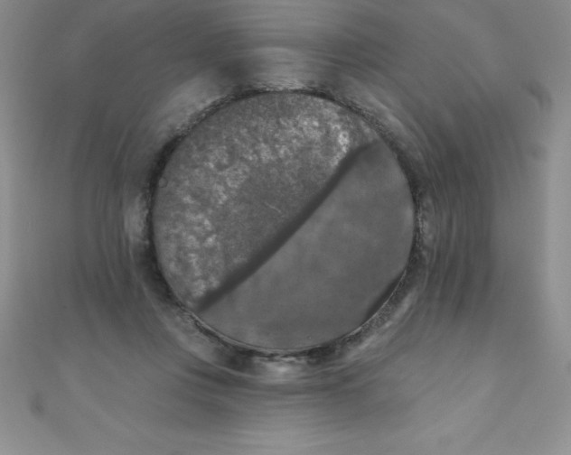 X0000111000359200907022142