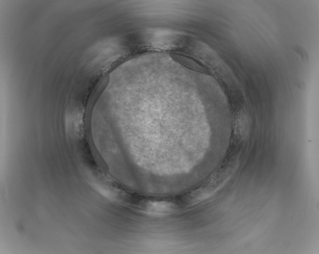 X0000111000360200907022142