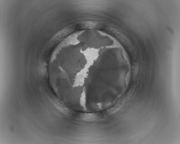 X0000111000361200907022142