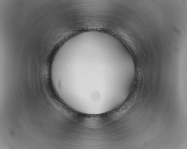 X0000111000362200907022142