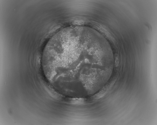 X0000111000363200907022142