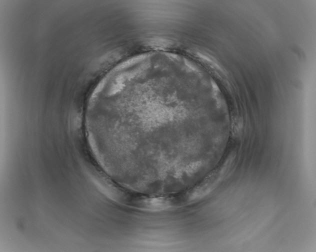 X0000111000365200907022142