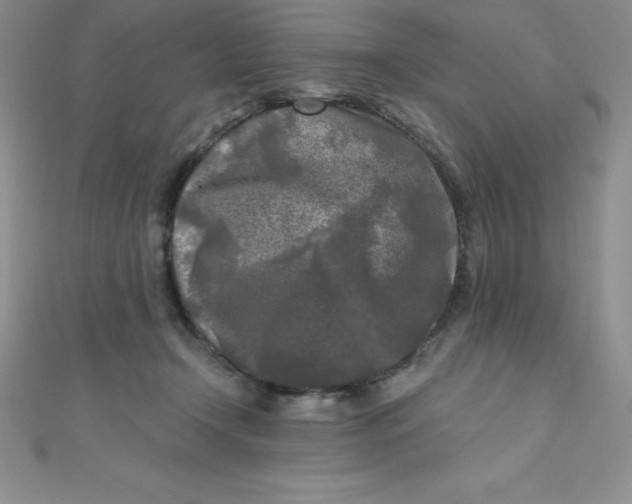 X0000111000366200907022142