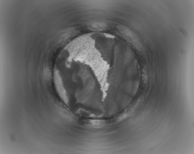 X0000111000371200907022142