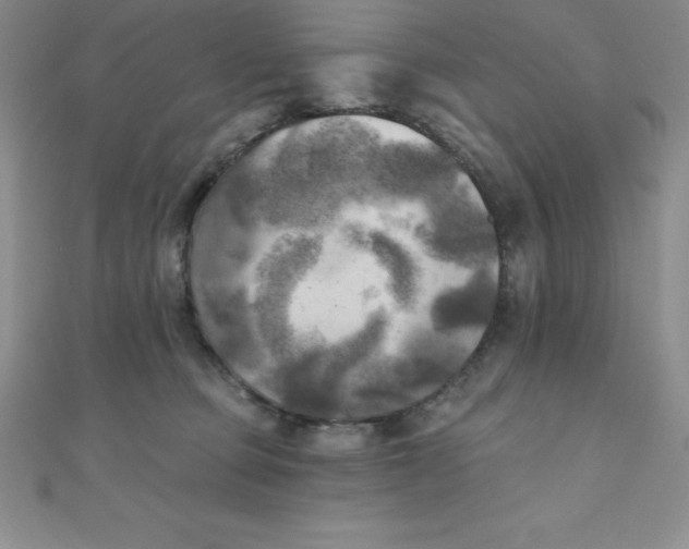 X0000111000373200907022142