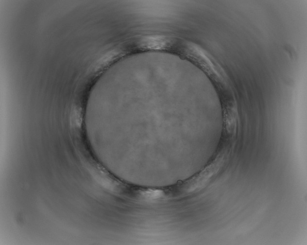 X0000111000374200907022142