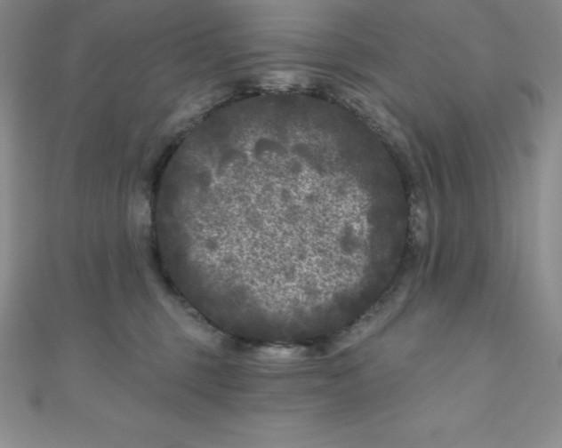 X0000111000375200907022142