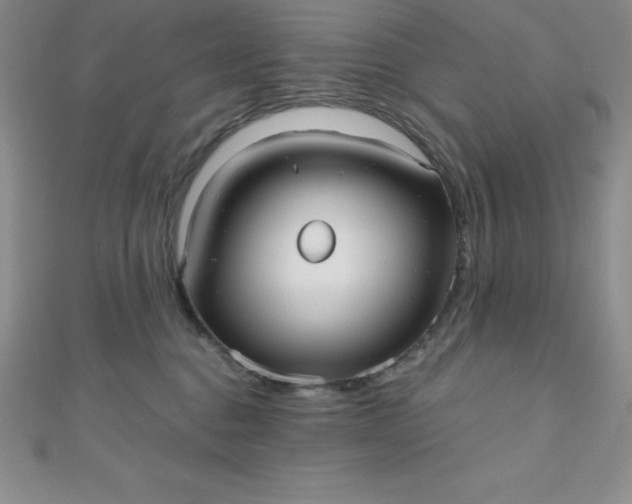 X0000111000376200907022142