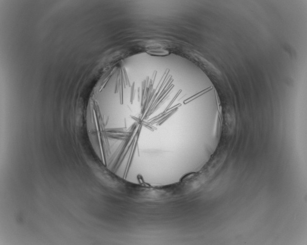 X0000111000379200907022142