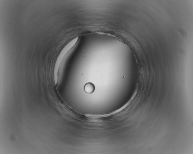 X0000111000380200907022142