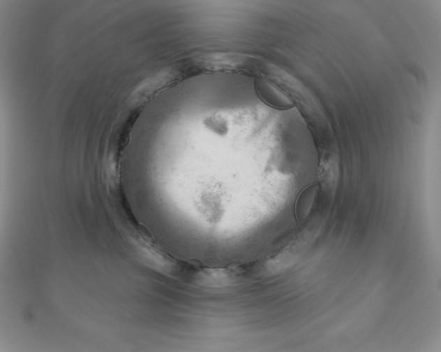 X0000111000381200907022142