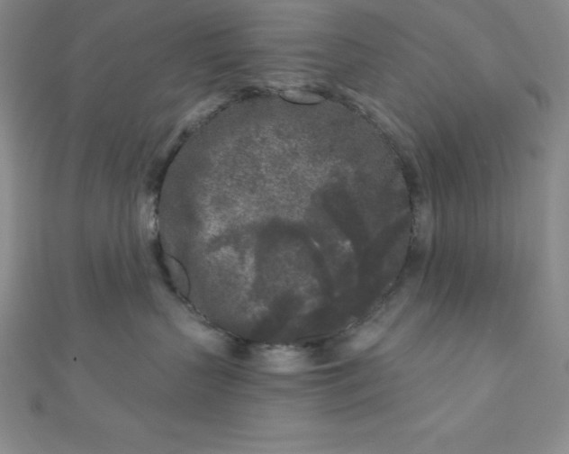 X0000111000383200907022142