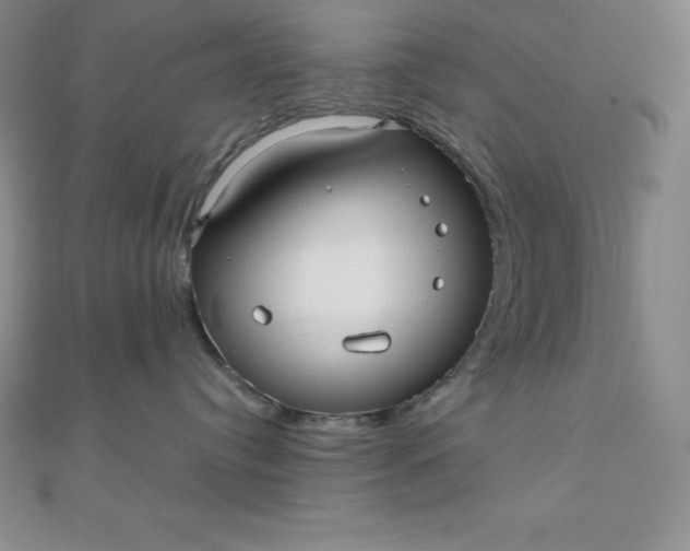 X0000111000384200907022142