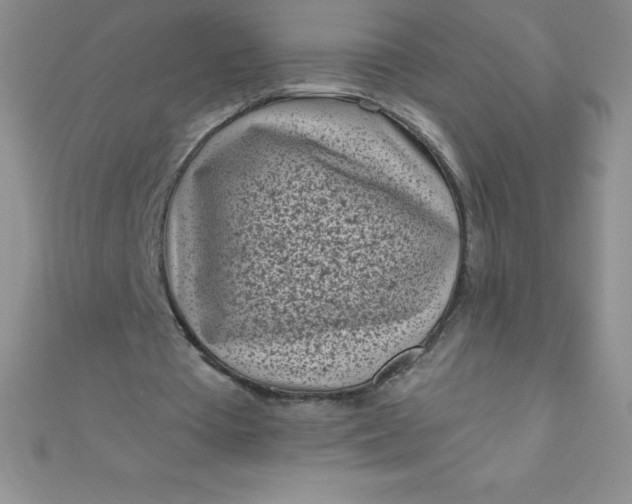 X0000111000385200907022141