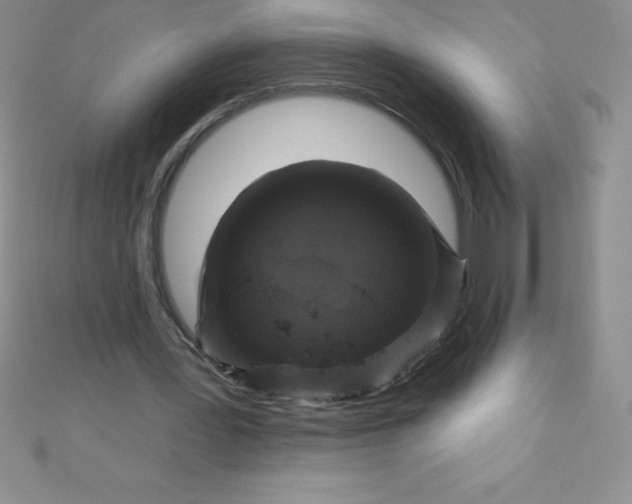 X0000111000387200907022141