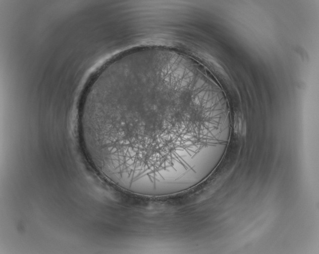 X0000111000388200907022141