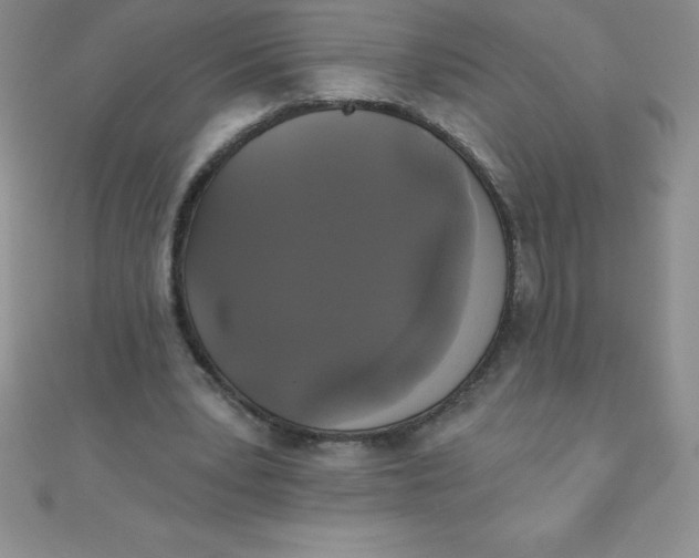 X0000111000391200907022141