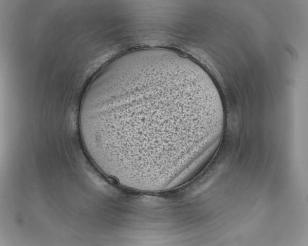 X0000111000393200907022141