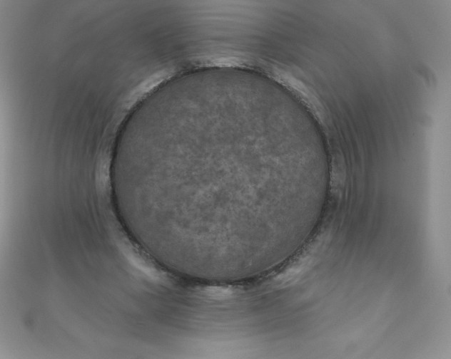 X0000111000394200907022141