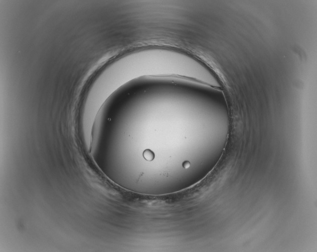 X0000111000395200907022141