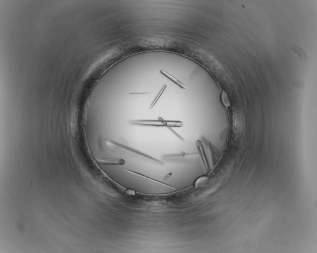 X0000111000396200907022141