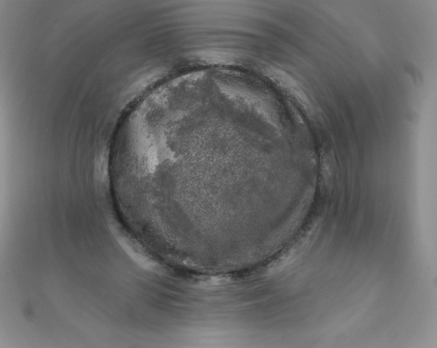 X0000111000398200907022141