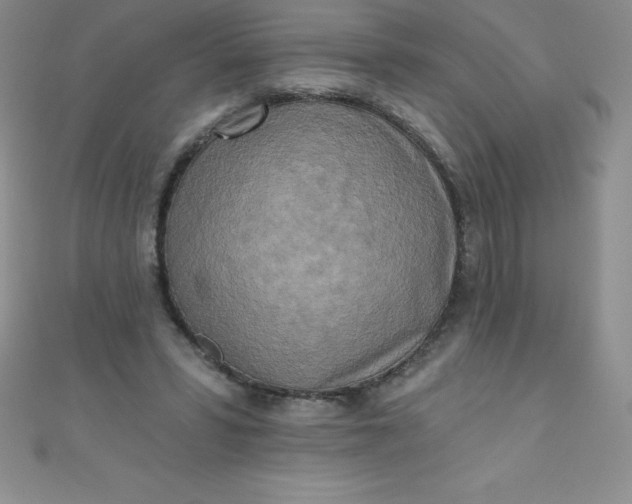 X0000111000399200907022141