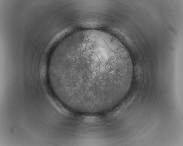 X0000111000400200907022141