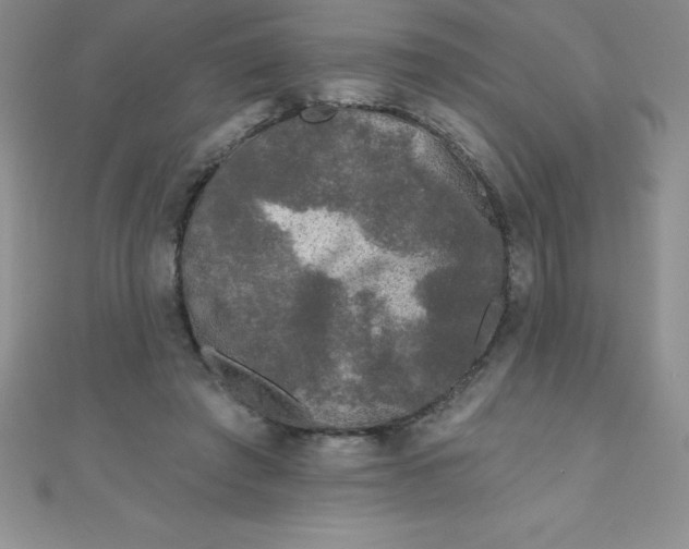 X0000111000401200907022141