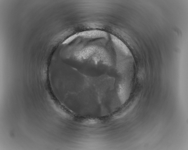 X0000111000402200907022141