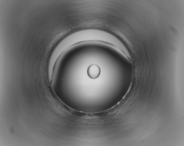 X0000111000403200907022141