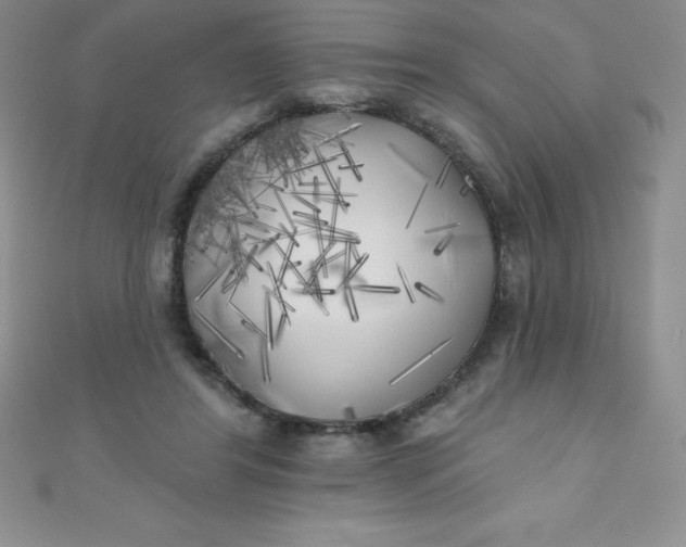 X0000111000404200907022141