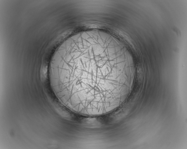 X0000111000406200907022141