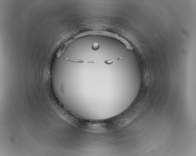 X0000111000407200907022141