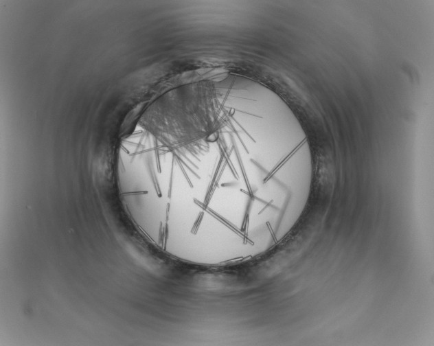 X0000111000408200907022141