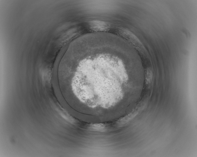 X0000111000409200907022141