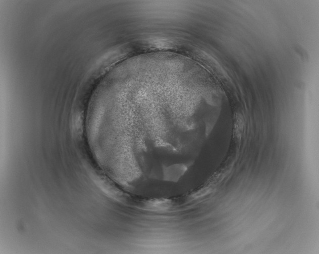 X0000111000410200907022141