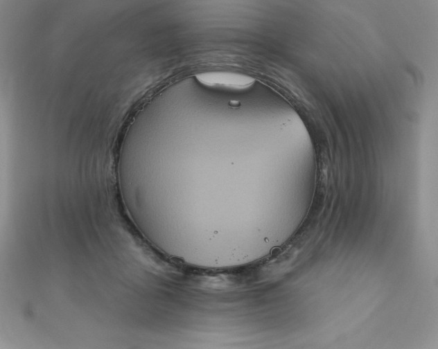 X0000111000411200907022141