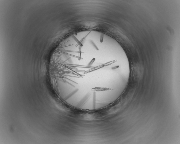 X0000111000412200907022141